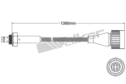 Датчик WALKER PRODUCTS 250-24510