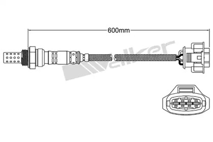 Датчик WALKER PRODUCTS 250-24571