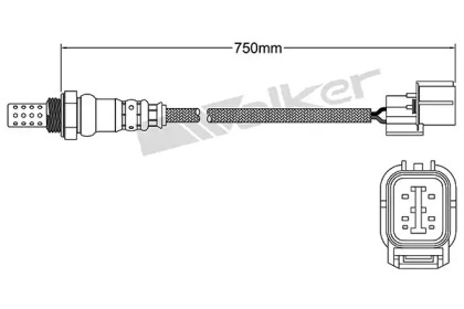 Датчик WALKER PRODUCTS 250-24761