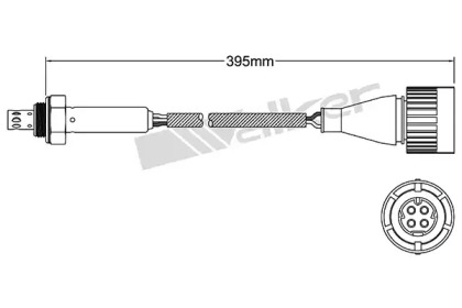 Датчик WALKER PRODUCTS 250-24801