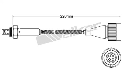 Датчик WALKER PRODUCTS 250-24809