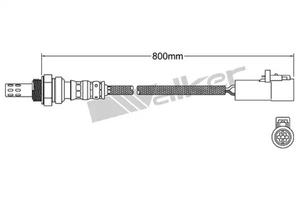 Датчик WALKER PRODUCTS 250-24858