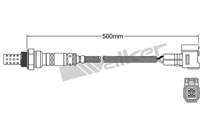 Датчик WALKER PRODUCTS 250-24862