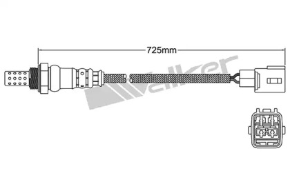 Датчик WALKER PRODUCTS 250-24889