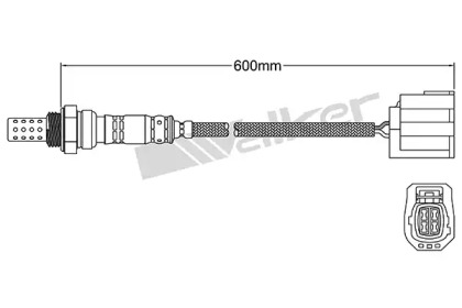 Датчик WALKER PRODUCTS 250-24904