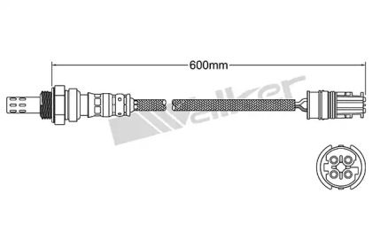 Датчик WALKER PRODUCTS 250-24970