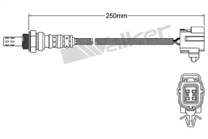 Датчик WALKER PRODUCTS 250-24978