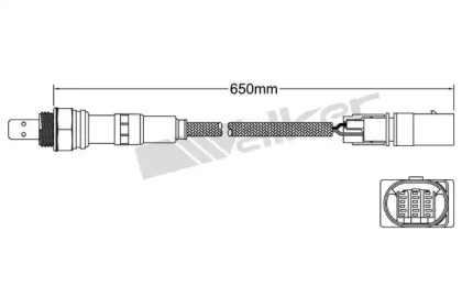 Датчик WALKER PRODUCTS 800-95022