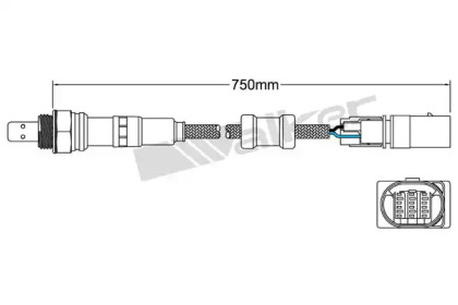 Датчик WALKER PRODUCTS 800-95026