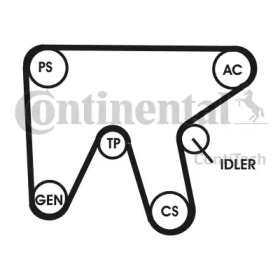 Ременный комплект CONTITECH 6PK1836D1