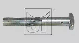 Болт ST-TEMPLIN 11.100.4500.290