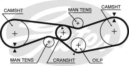 Ремень ГРМ GATES 5009