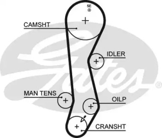 Ремень GATES 5389XS