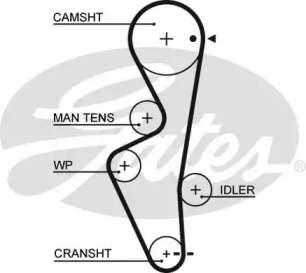 Ремень GATES 5430XS