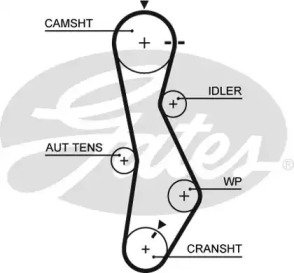 Ремень GATES 5579XS