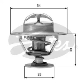 Термостат GATES TH02491G1