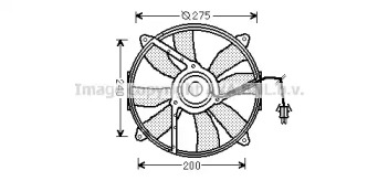  PRASCO MS7521