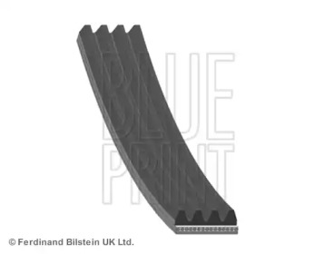 Поликлиновой ремень BLUE PRINT AD04R1705