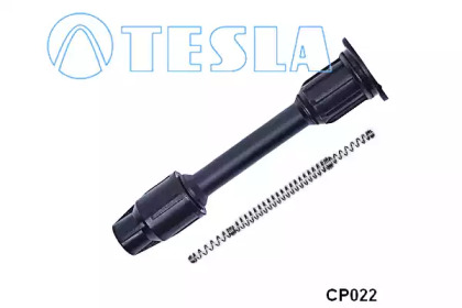  TESLA CP022