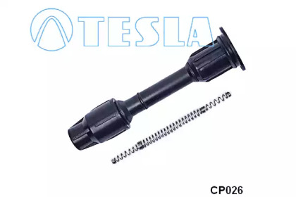  TESLA CP026