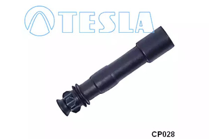  TESLA CP028