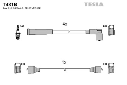 Комплект электропроводки TESLA T481B