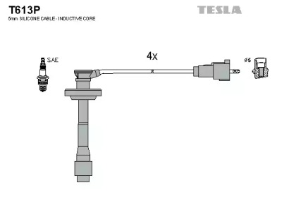 Комплект электропроводки TESLA T613P