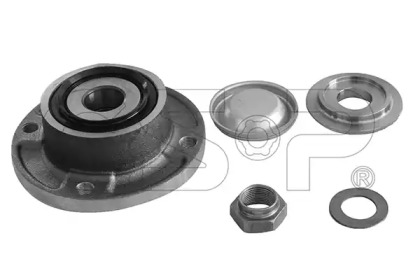 Комплект подшипника GSP 9225032K