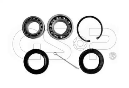 Комплект подшипника GSP GK0910