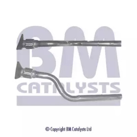  BM CATALYSTS BM50208