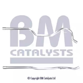  BM CATALYSTS BM50399