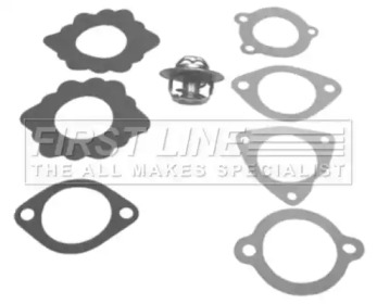 Термостат, охлаждающая жидкость FIRST LINE FTK001