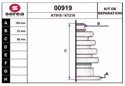 Комплект пыльника SNRA 00919