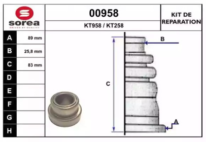 Комплект пыльника SNRA 00958