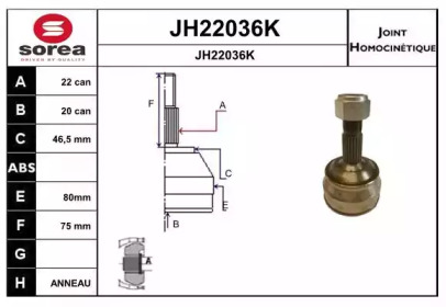 Шарнирный комплект SNRA JH22036K