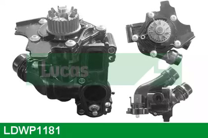 Насос LUCAS ENGINE DRIVE LDWP1181