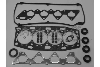 Комплект прокладок ASHUKI C100-06