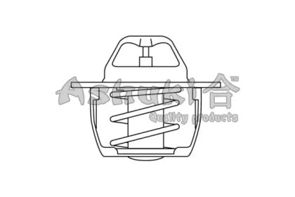 Термостат ASHUKI C710-30