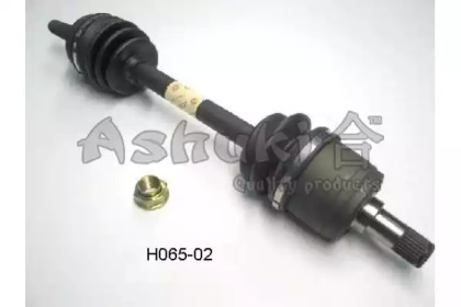 Шлангопровод ASHUKI H065-02