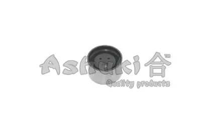  ASHUKI US47613