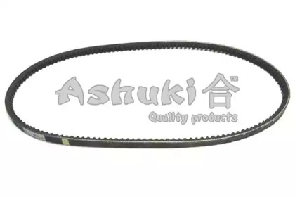  ASHUKI V10-0960