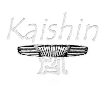 Кузов KAISHIN 96231418