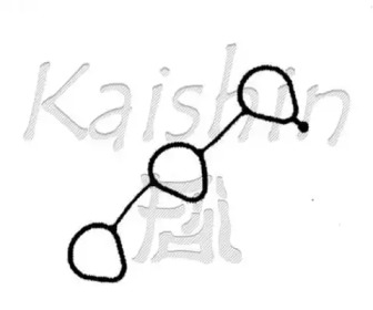 Комплект прокладок, блок-картер двигателя KAISHIN 96569405