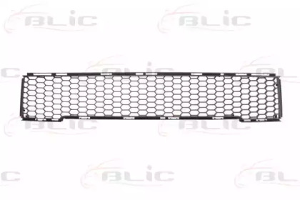 Решетка-облицовка BLIC 5511-00-2013970Q