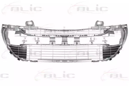 Решетка-облицовка BLIC 6502-07-5519910P
