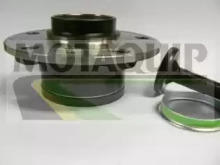 Комплект подшипника MOTAQUIP VBK1224