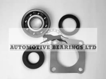 Комплект подшипника ступицы колеса Automotive Bearings ABK012