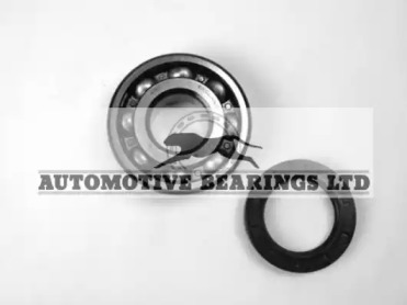 Комплект подшипника ступицы колеса Automotive Bearings ABK017