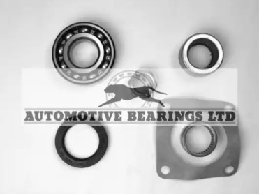 Комплект подшипника ступицы колеса Automotive Bearings ABK042