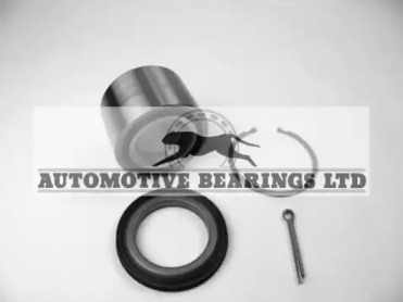 Комплект подшипника ступицы колеса Automotive Bearings ABK1032